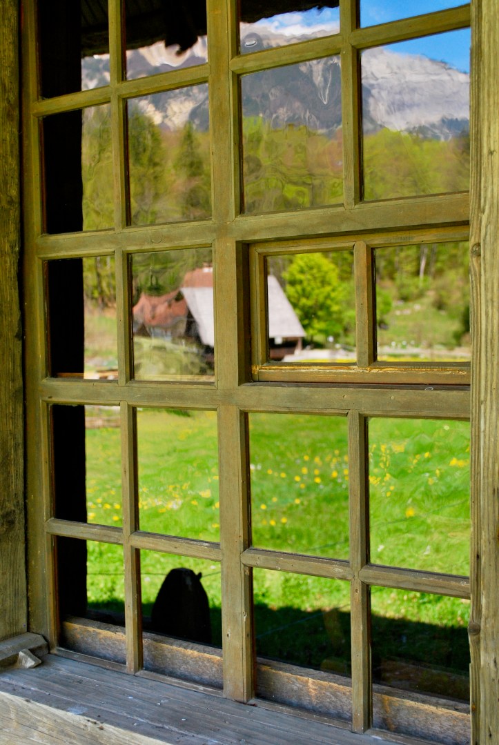 4562952133_fe3829bda4_o