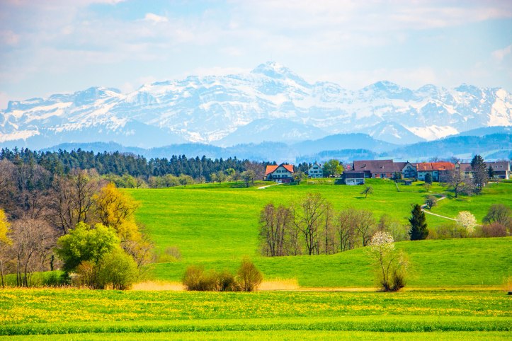 Cabriofahrt (1 von 13)