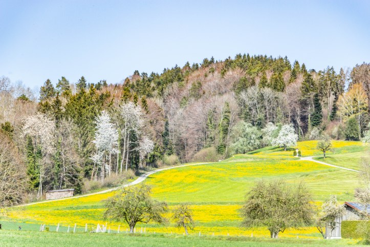 Cabriofahrt (4 von 13)