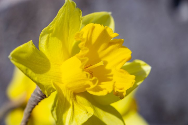 Osterbrunch Rickenbach April 19 (45 von 70)