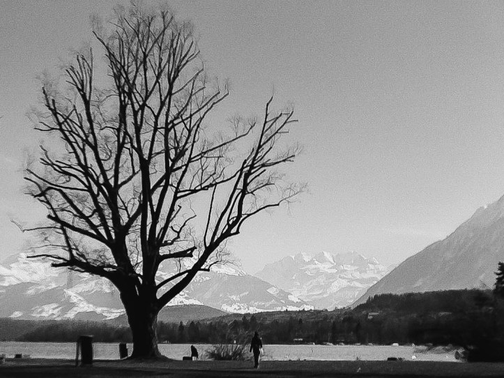 Thunersee 1 (1 von 1)
