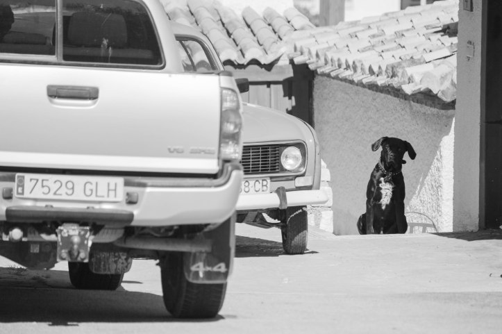 Der Wächter (1 von 1)