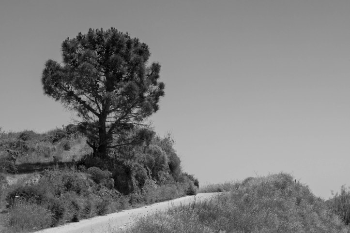 Motorradausflug 190511 (11 von 12)