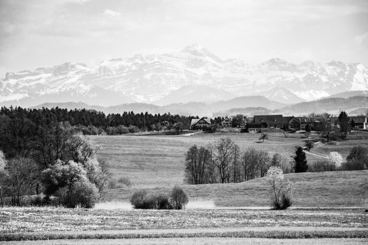 Cabriofahrt (1 von 1).jpg