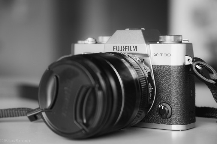 Fuji-1290