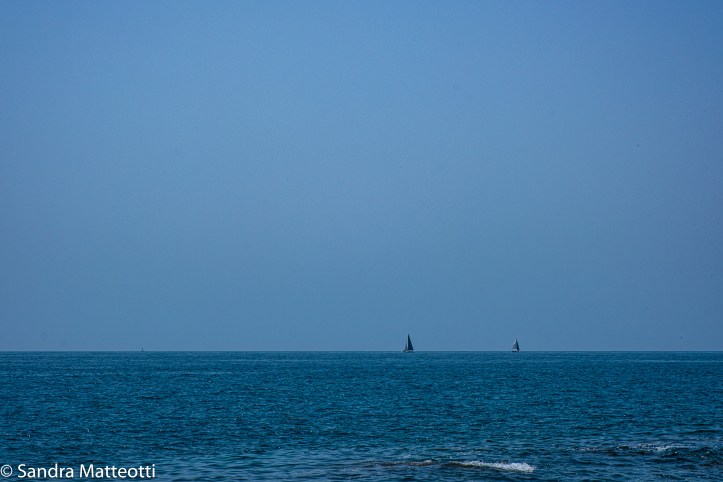 Segel am Horizont-2157.jpg